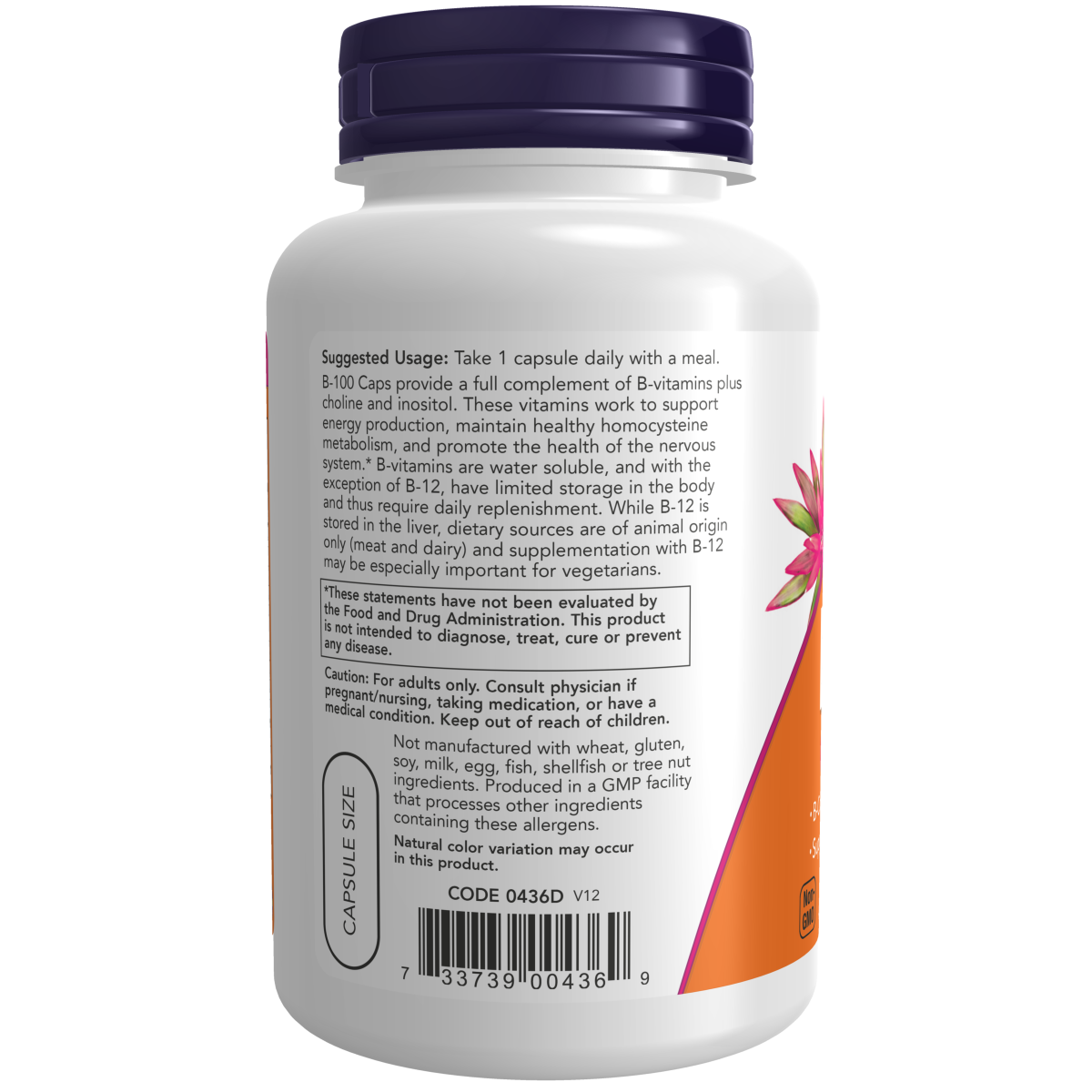 Vitamina B-100 (100 Veg Caps)/ Vitamin B-100