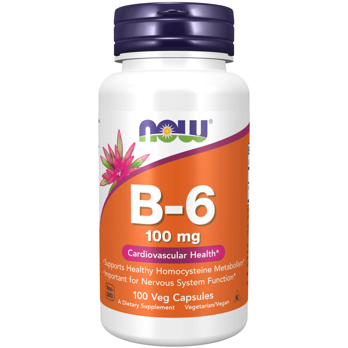 B- 6 100 mg (100 vegCaps)