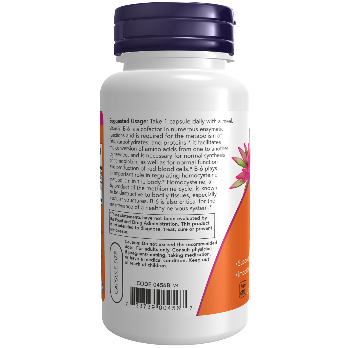 B- 6 100 mg (100 vegCaps)