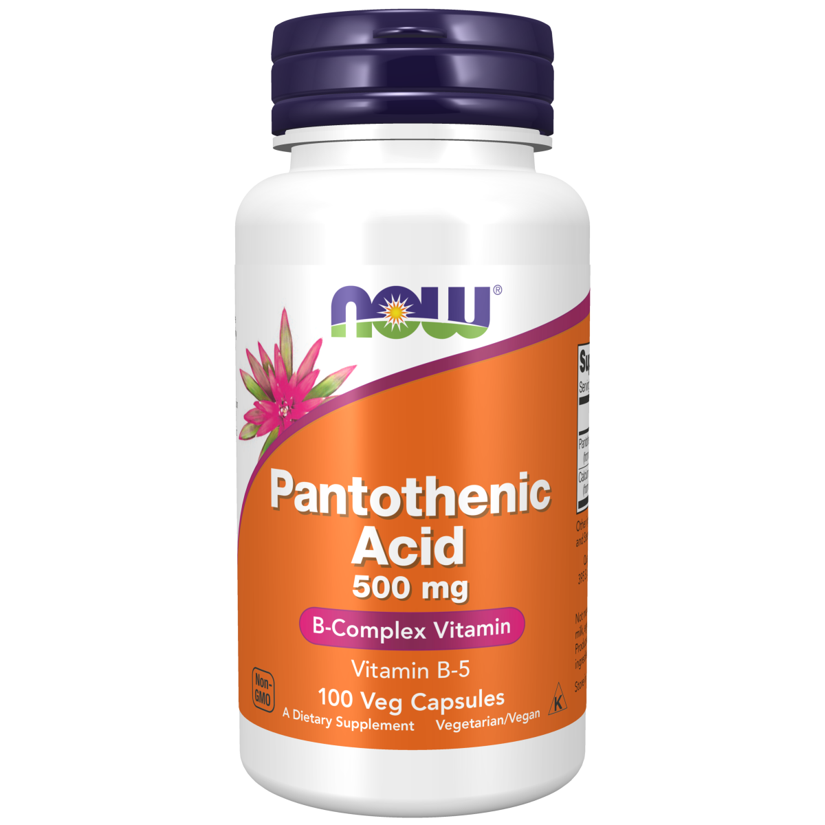 Ácido pantoténico 500 mg (100 Veg Caps)/ Pantothenic Acid 500 mg