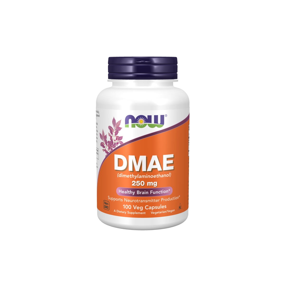 DMAE 250 mg (100 Veg Caps)