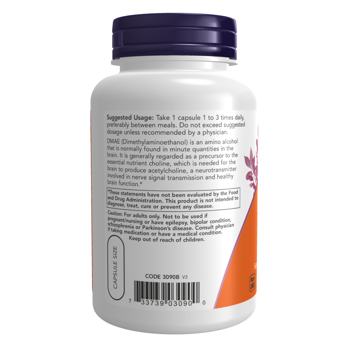 DMAE 250 mg (100 Veg Caps)