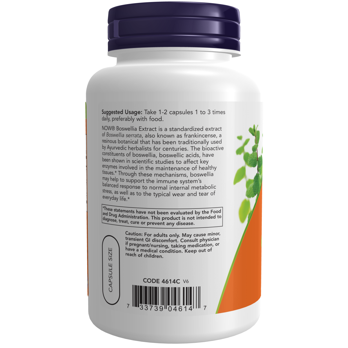 Extracto de Boswellia 250 mg Cápsulas Vegetales