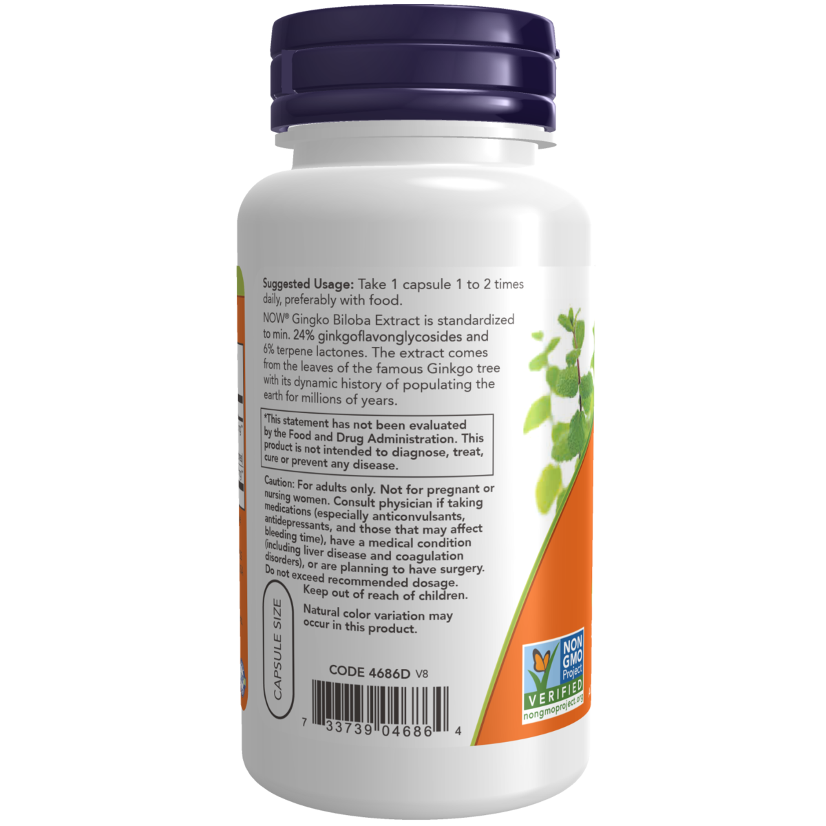 Ginkgo Biloba 60 mg  (60 veg caps)