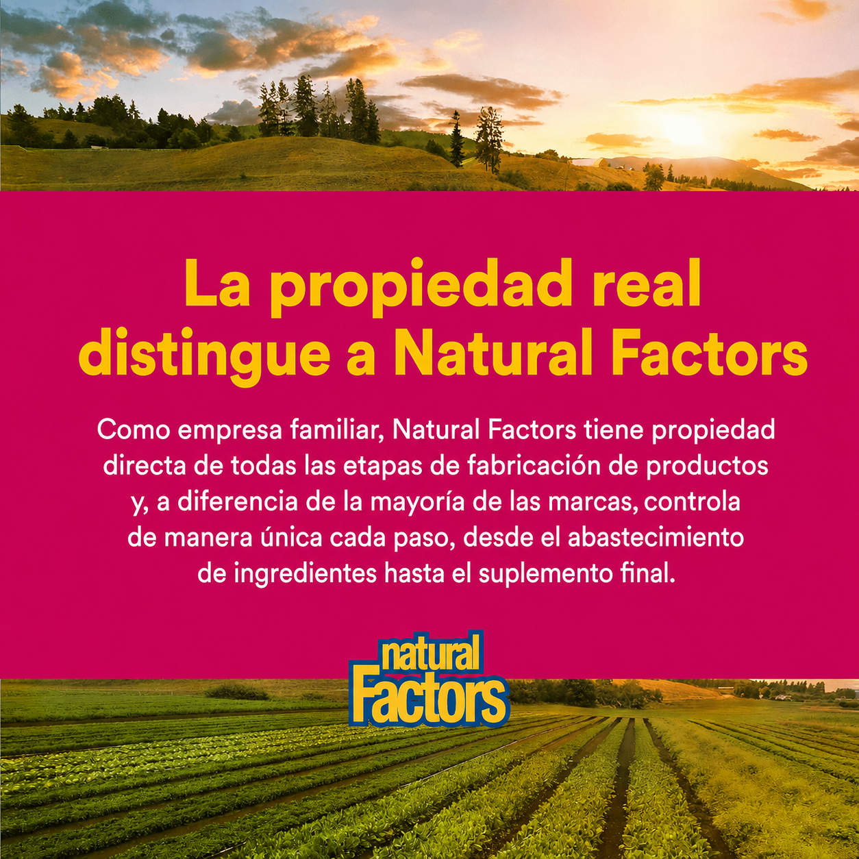 Picolinato de cromo 500 mcg 90 tab, Natural Factors