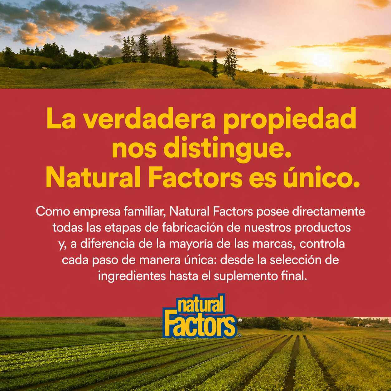 Quercetina 500 mg 60 vcap, Natural Factors