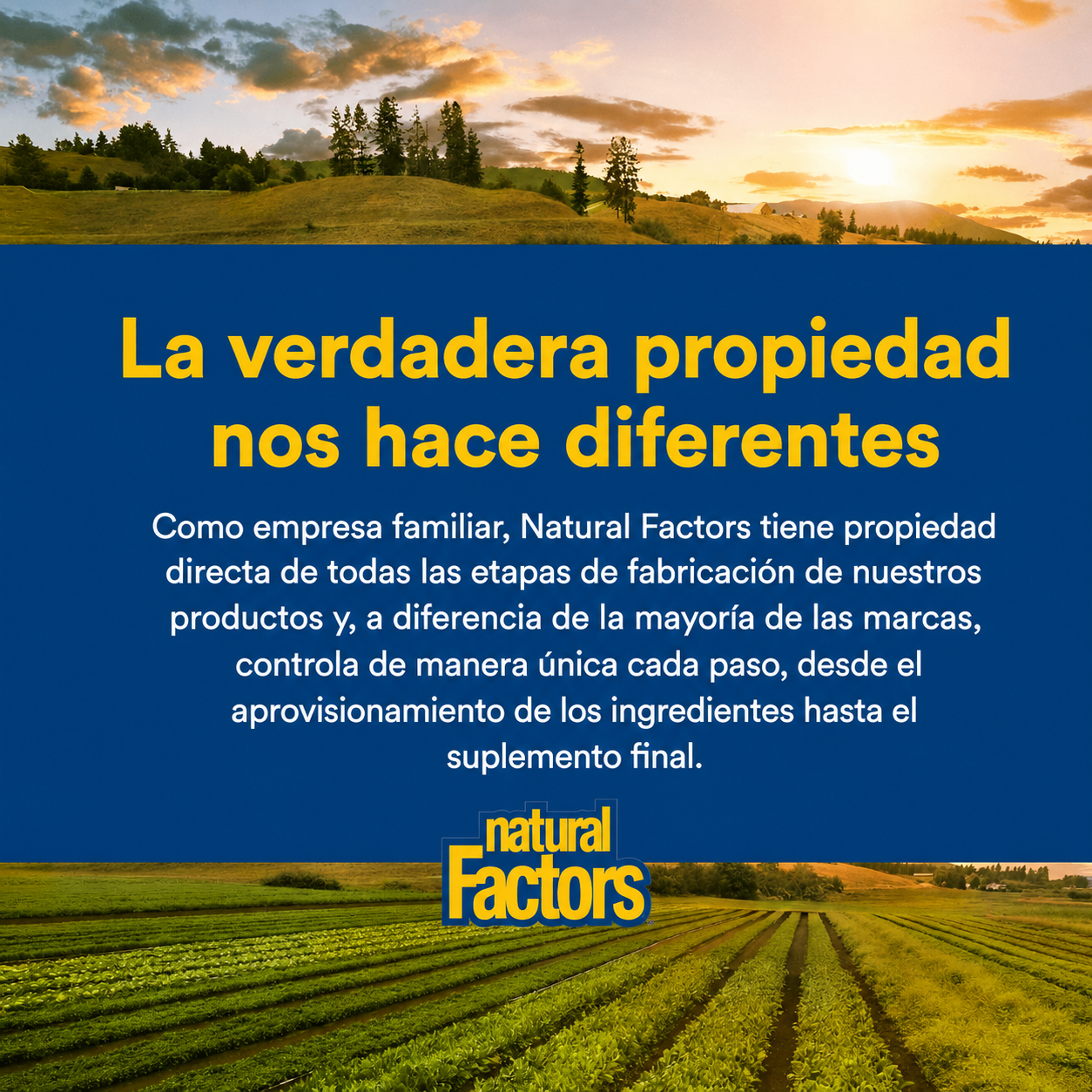 OmegaFactors® Ultra Prim™ EPO 500 mg / 50 mg GLA 180 sg, Natural Factors