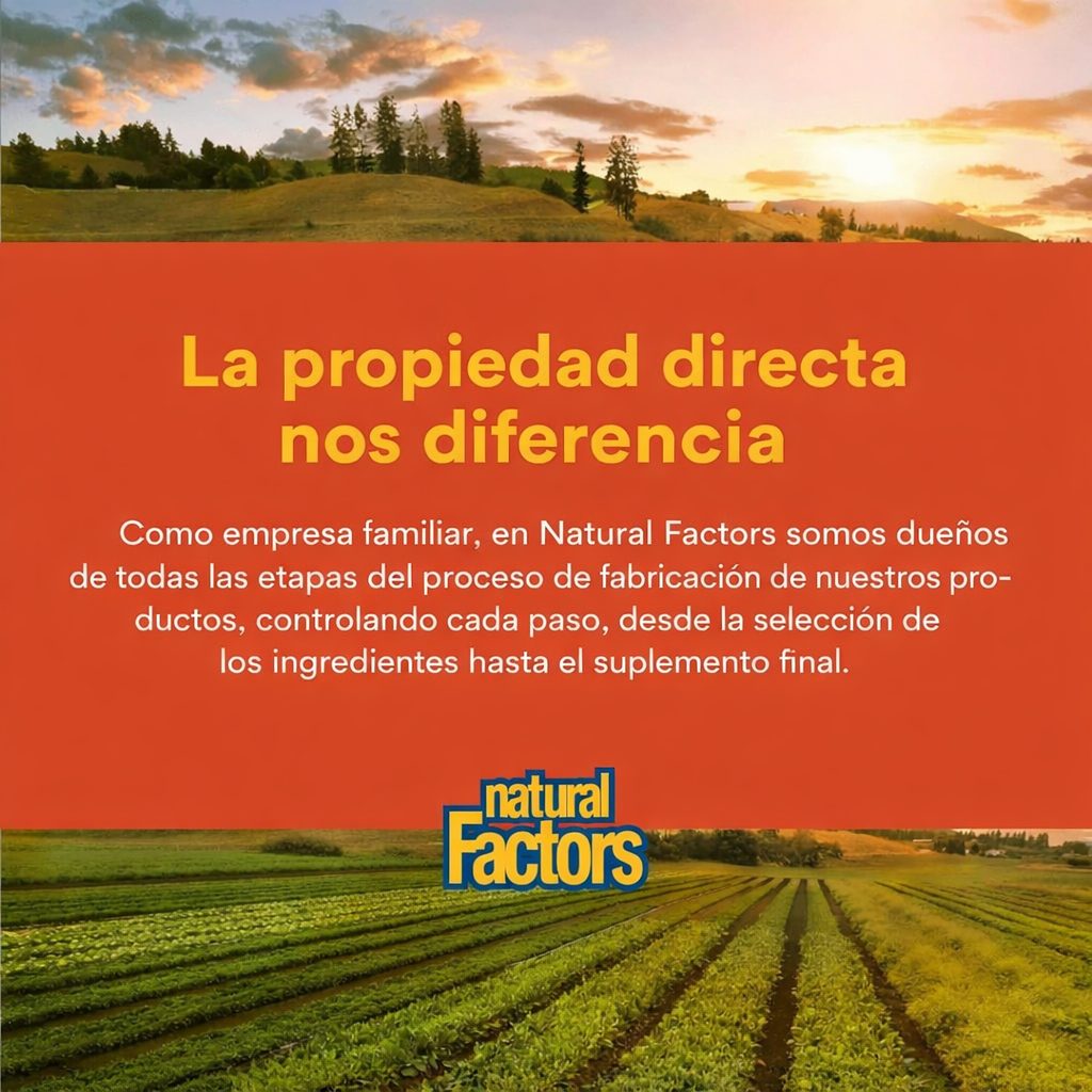 Alta Potencia B Complejo 50 mg 90 cap, Natural Factors