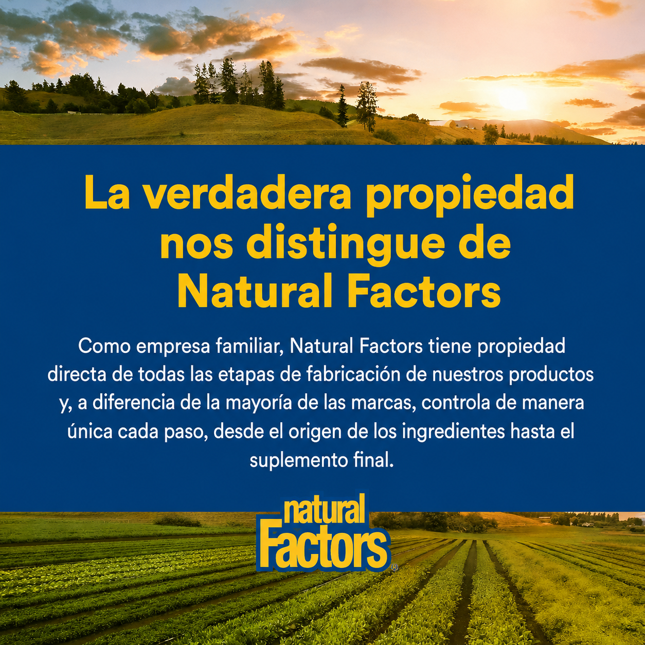 L-Carnosina 500 mg 60 vcap, Natural Factors