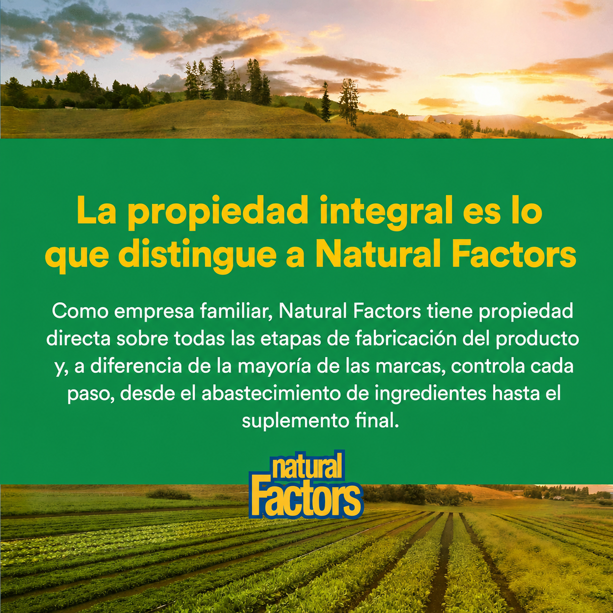 Multi Enzimas Vegetarianas de Alta Potencia 60 vcap, Natural Factors