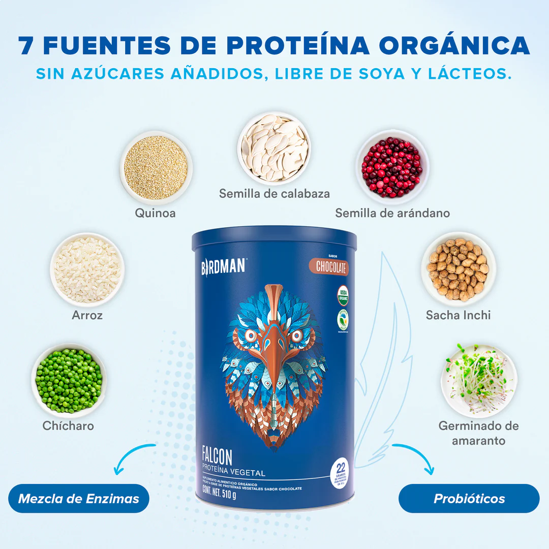 Falcon Proteina Chocolate (510 g), Birdman
