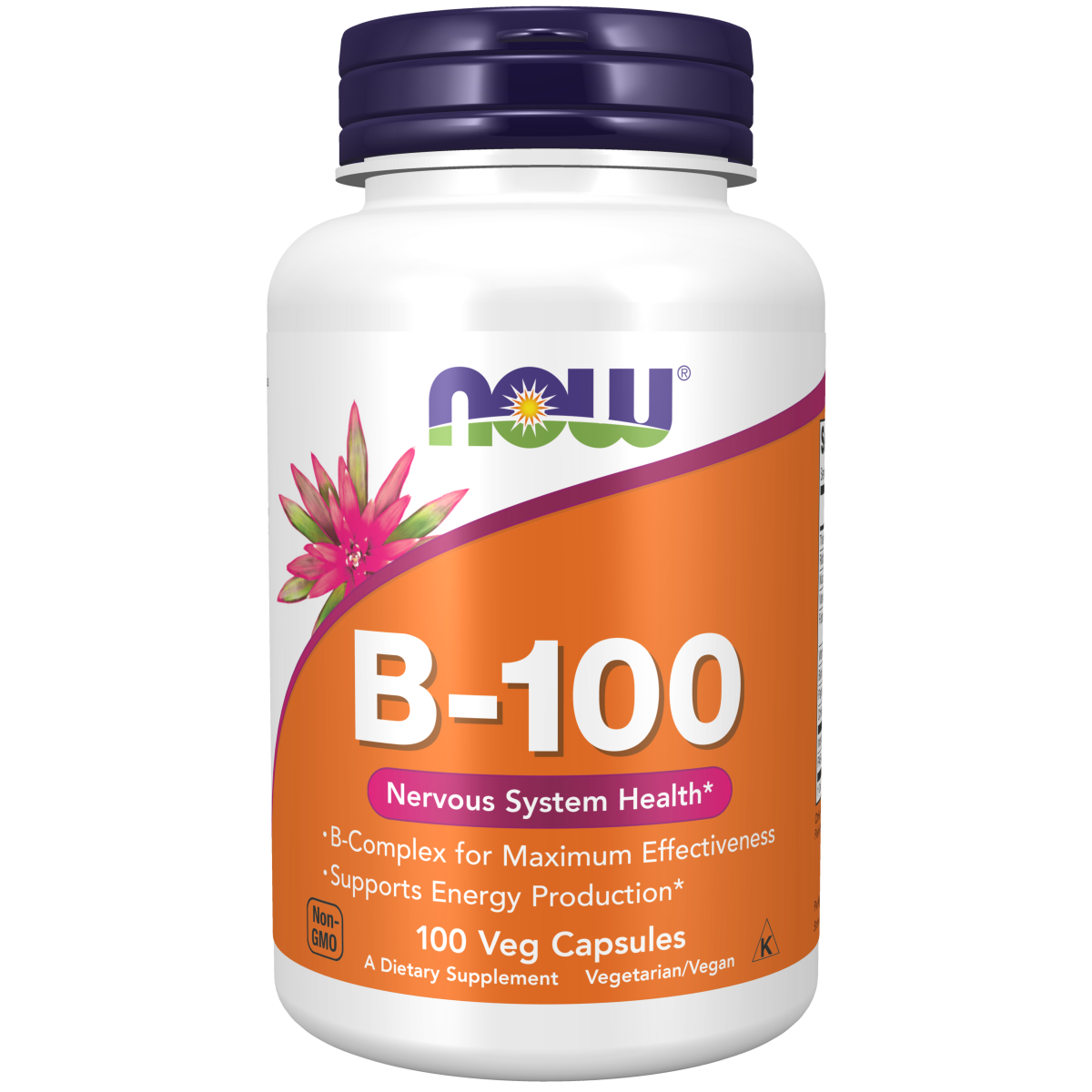 Vitamina B-100 (100 Veg Caps)/ Vitamin B-100