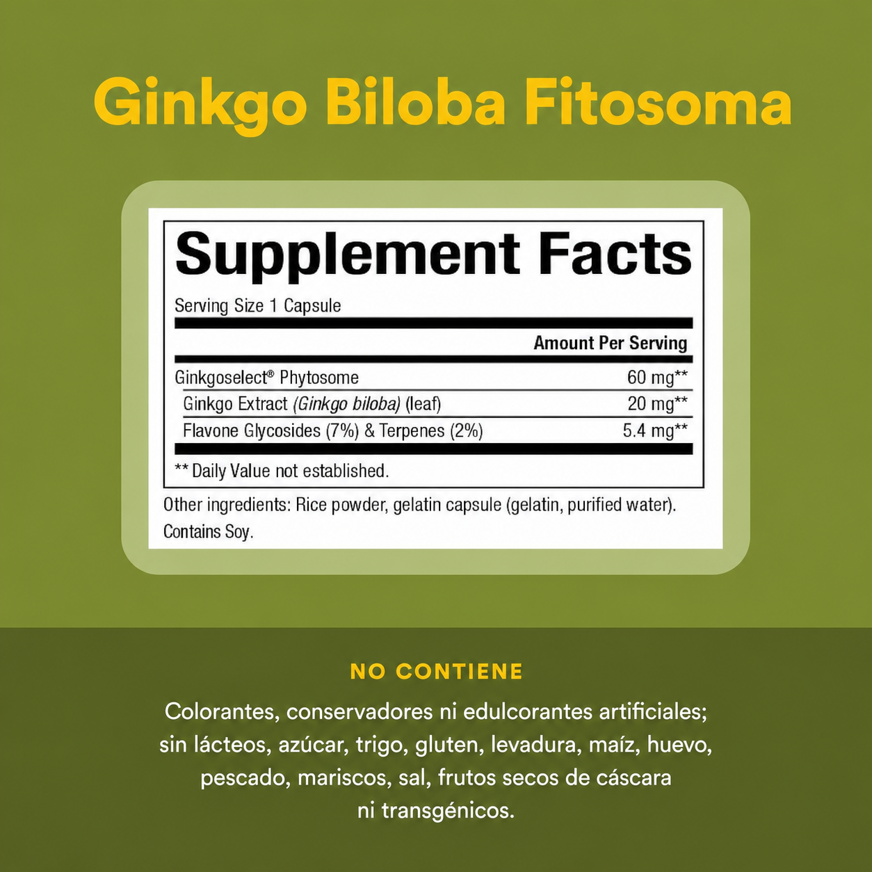 HerbalFactors® Ginkgo Biloba Fitosoma 60 mg 60 cap, Natural Factors