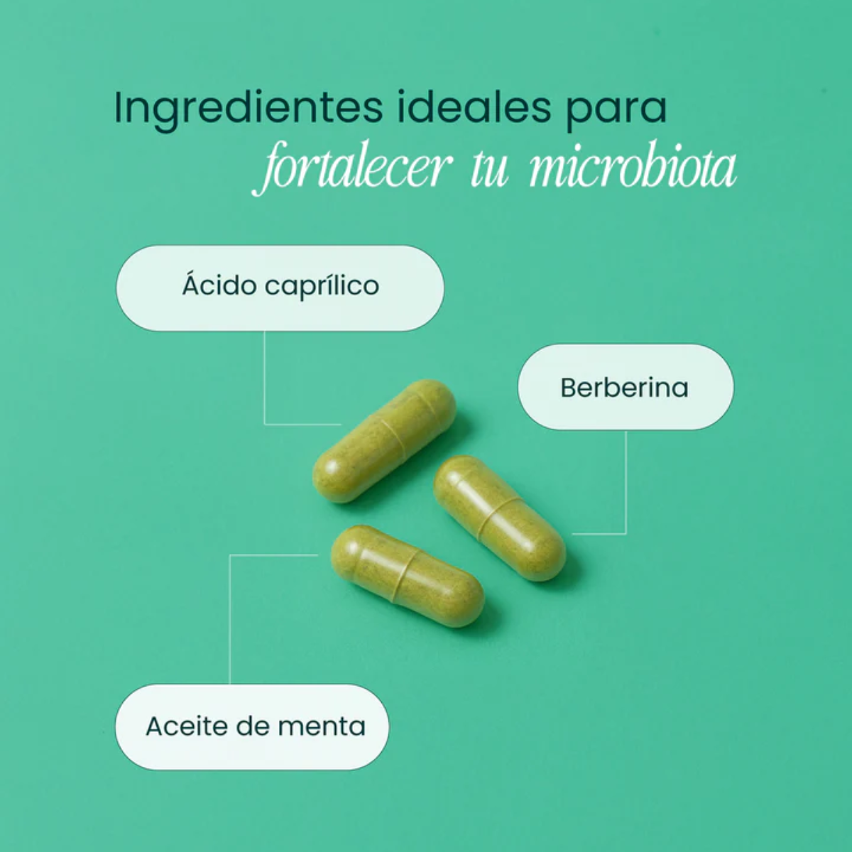 Gut Support (60 caps), NutriADN