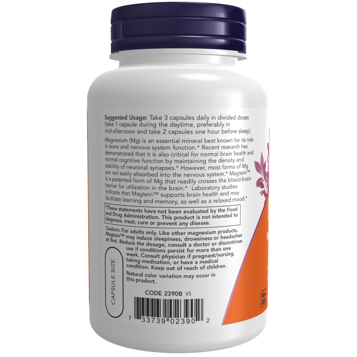 Magnesio Teronato 200mg /Magtein 2000mg (90 Veg Caps)