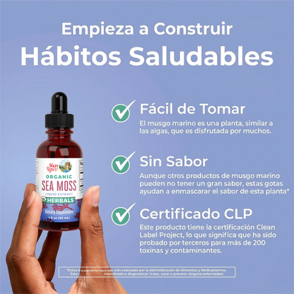 Gotas Líquidas de Musgo Marino Orgánico (30ml) / Sea Moss Drops, Org, (1oz)