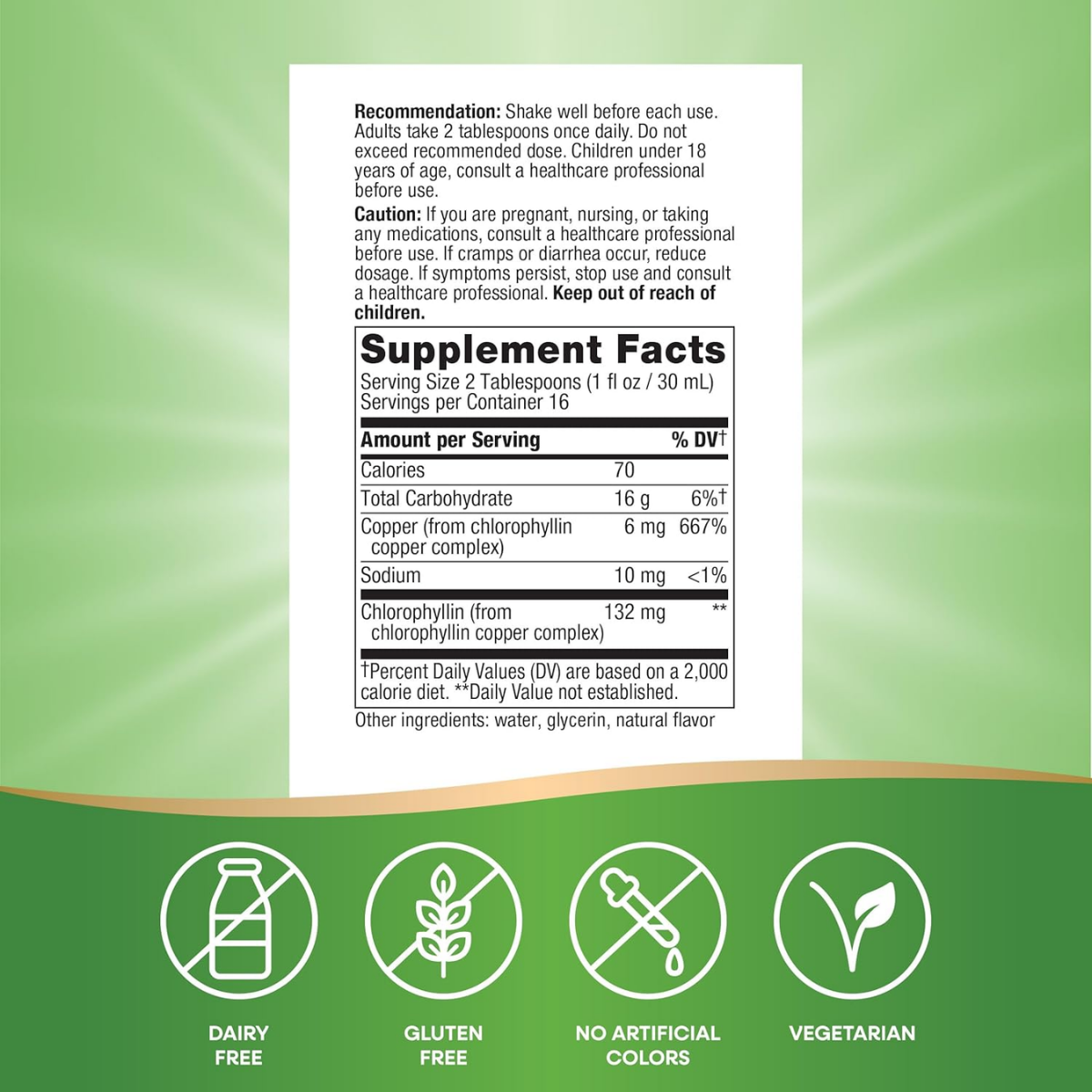 Chlorofresh® Clorofila Líquida (16 fl.oz/473.2 ml)