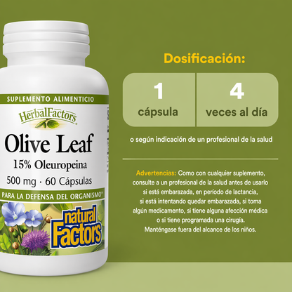 HerbalFactors® Hoja de Olivo 500 mg 15% Oleuropeina 60 cap, Natural Factors