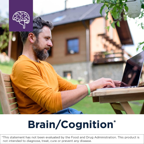 CC Neurolink™ (180 veg caps), Cerebro, Designs for Health