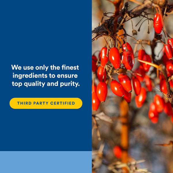 WellBetX® Berberina 500 mg 120 vcap, Natural Factors