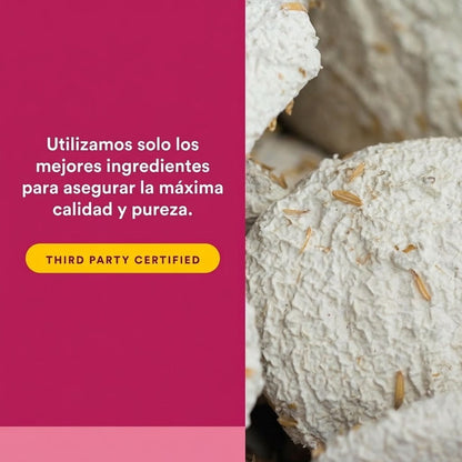 SelenoExcell® Selenio 200 mcg 90 cap, Natural Factors