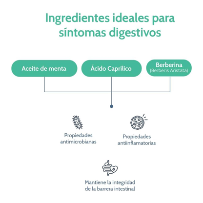 Gut Support (60 caps), NutriADN