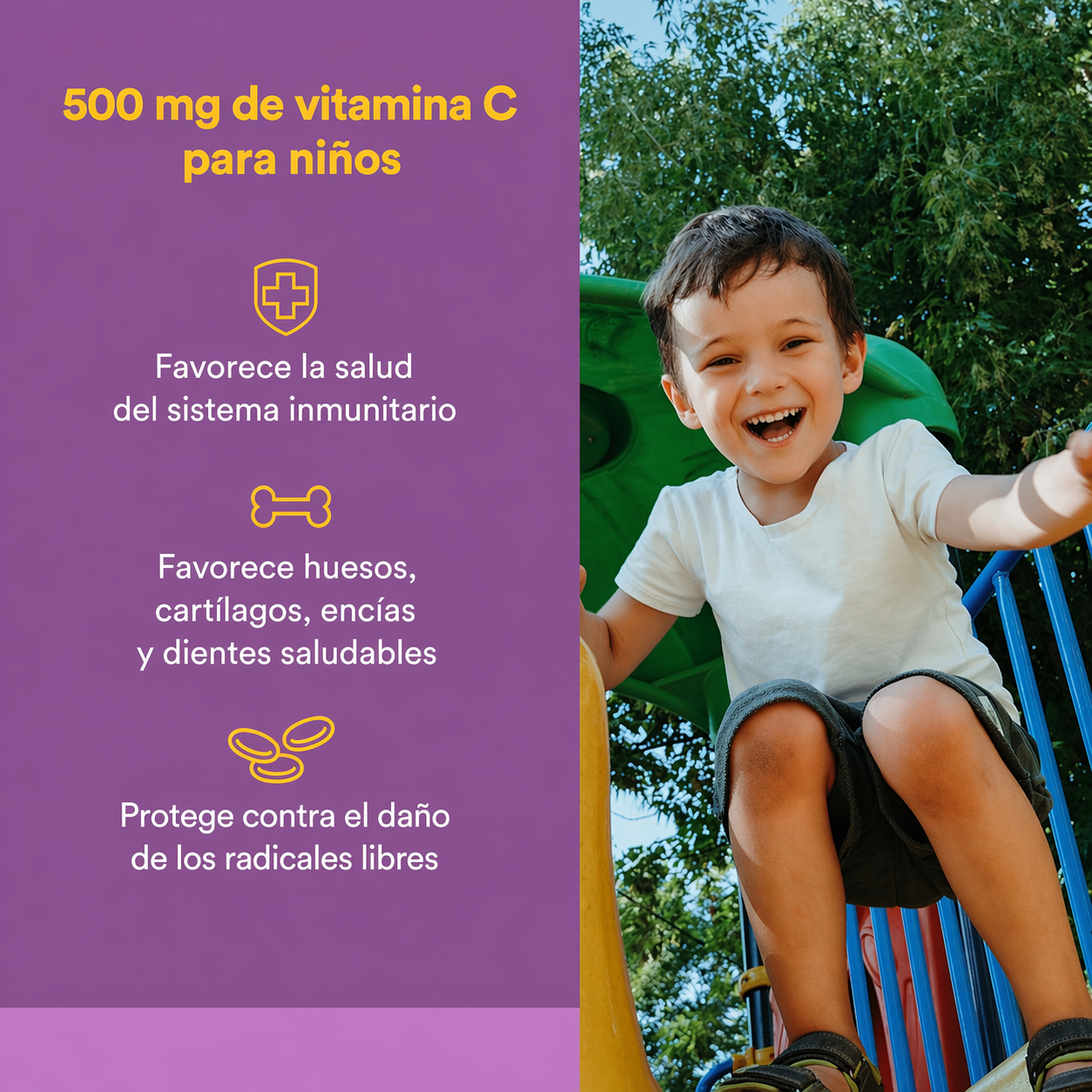 Vitamina C 500 mg Sabor a Fruta Masticable– Mora Azul, Frambuesas & Arándanos 90 tab, Natural Factors