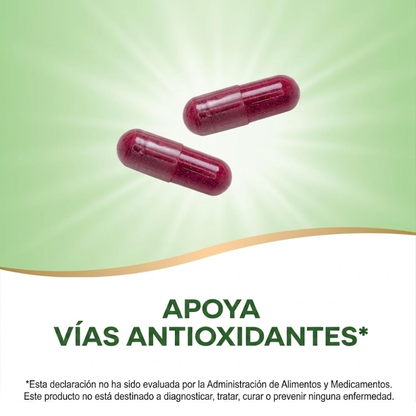 Betabel - Raíz - 1,000mg - 100 Cápsulas Veganas
