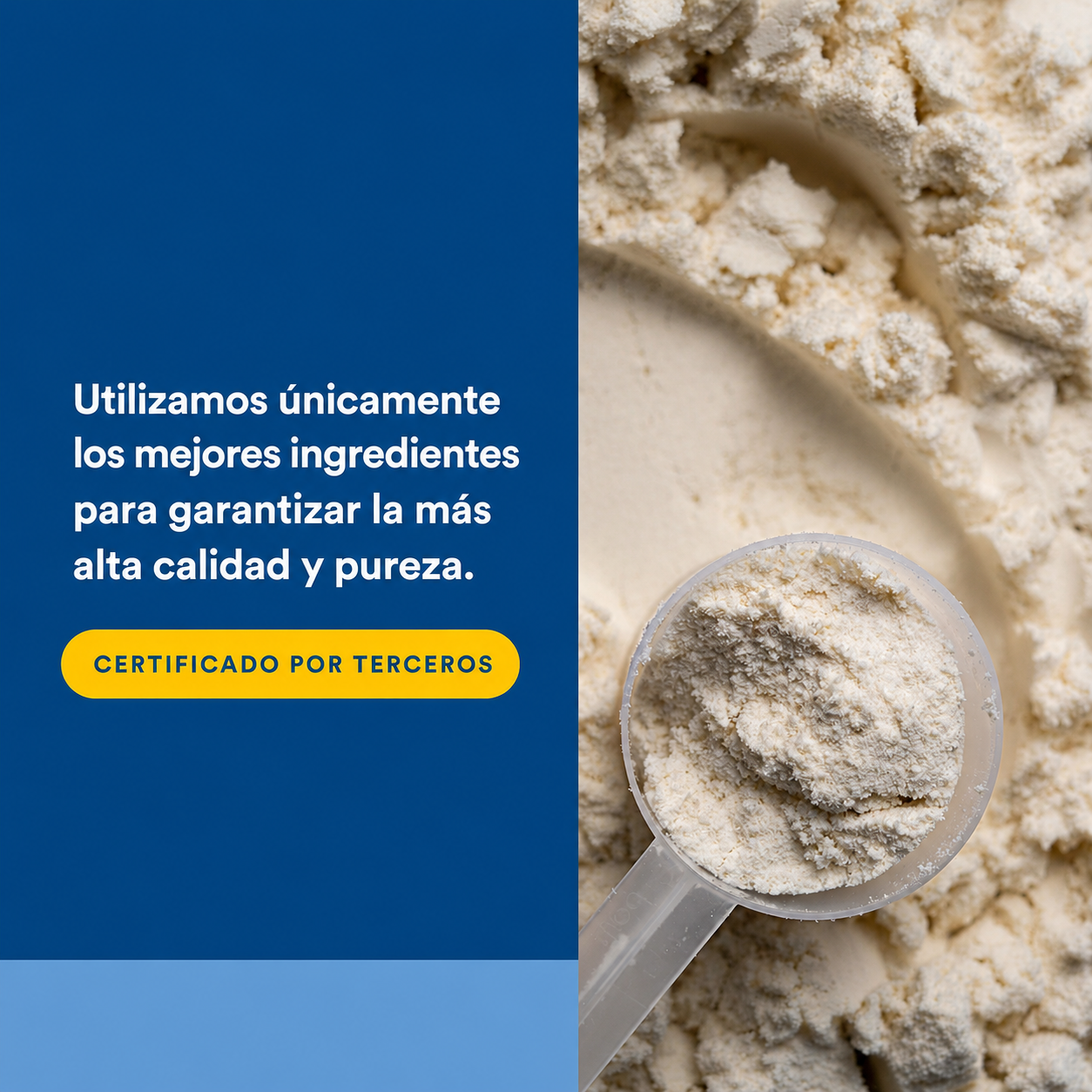 Whey Factors® Proteína en Polvo de Buey Alimentado con Pasto  – Vainilla Francesa 2 lb, Natural Factors