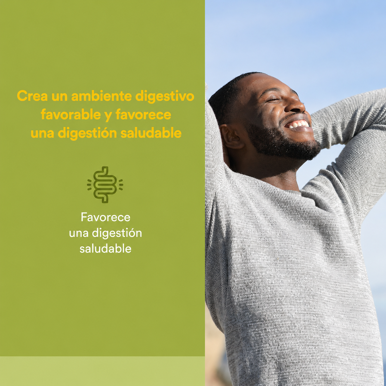 Betaína HCL 500 mg w/ 100 mg Alholva 90 vcap, Natural Factors