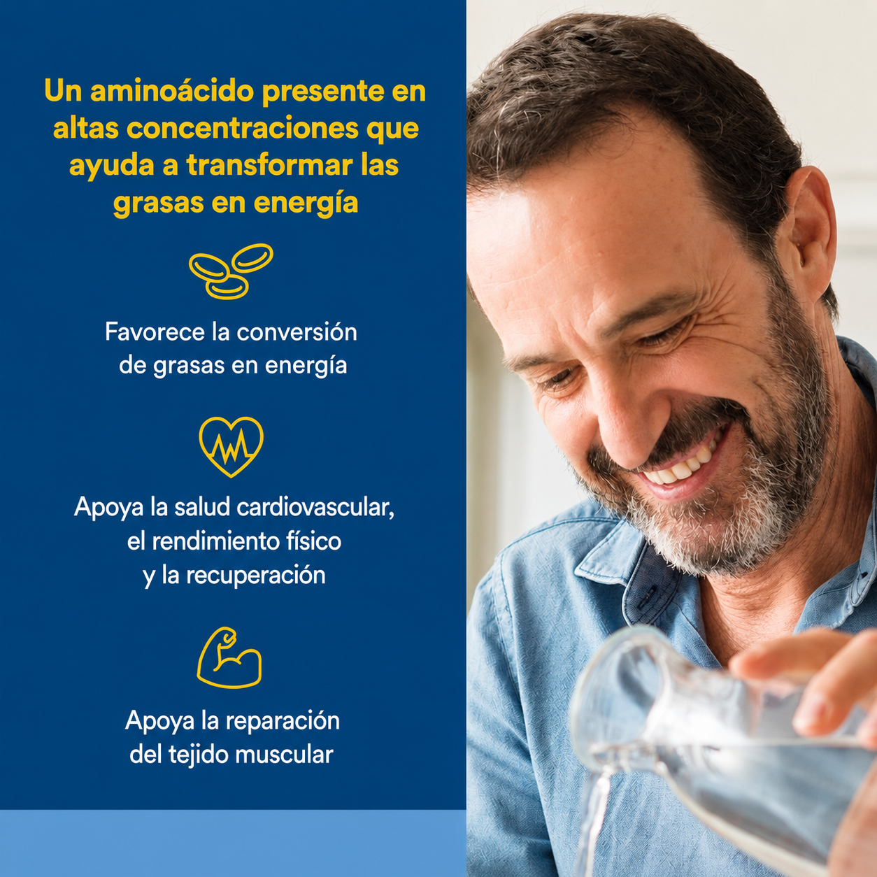 L-Carnosina 500 mg 60 vcap, Natural Factors