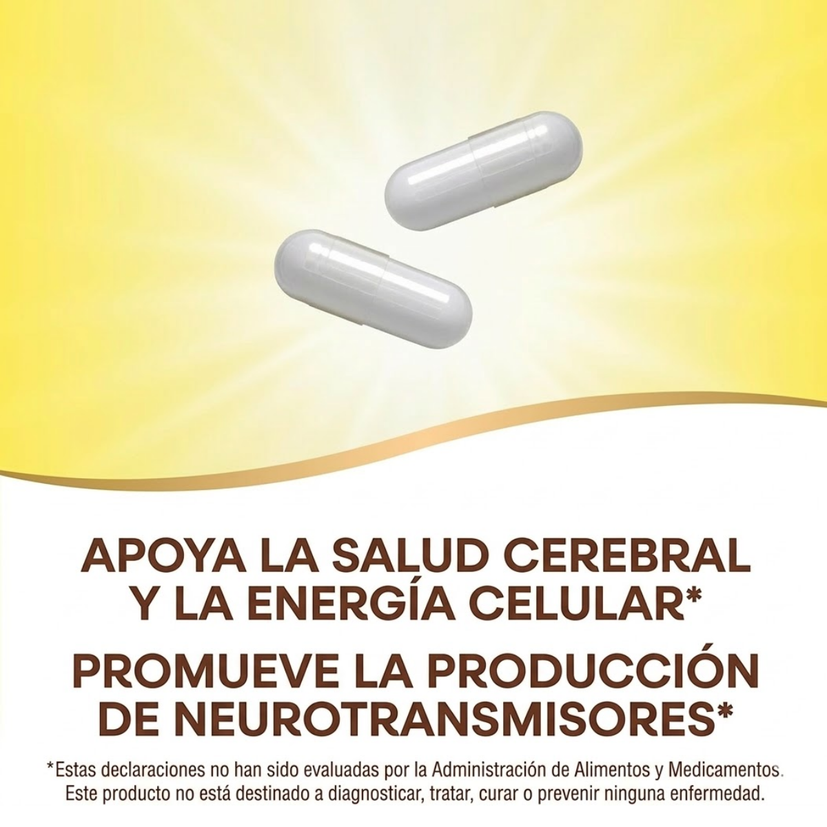 Colina & Inositol - 1,000mg - 100 Cápsulas