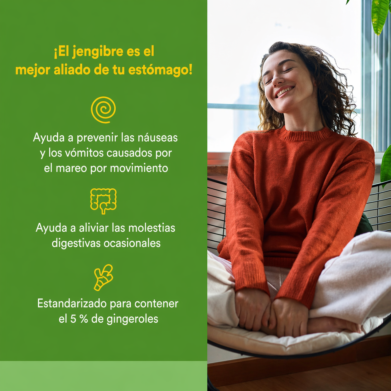 Jengibre Masticable 500 mg 90 tab, Natural Factors