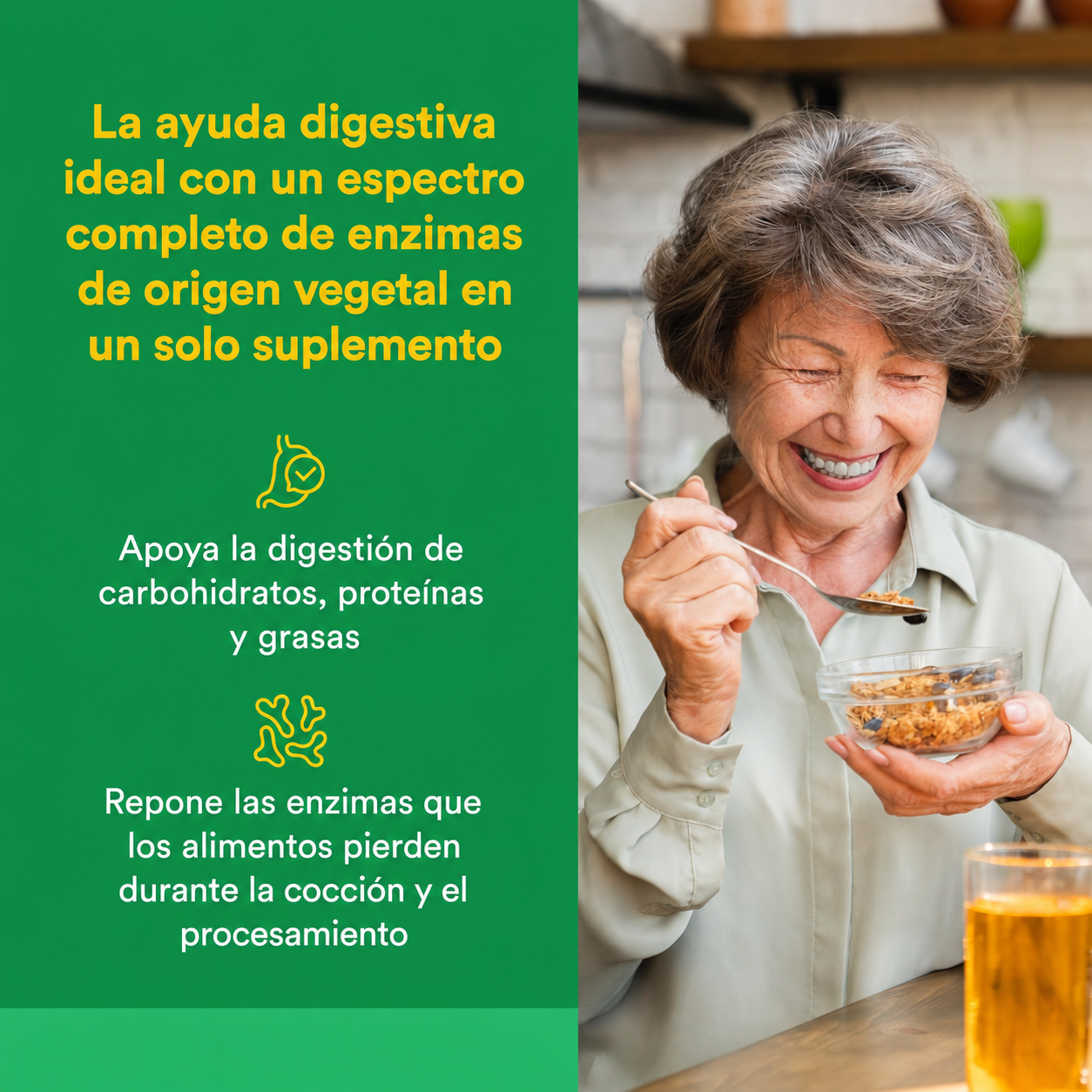 Multi Enzimas Vegetarianas de Alta Potencia 60 vcap, Natural Factors