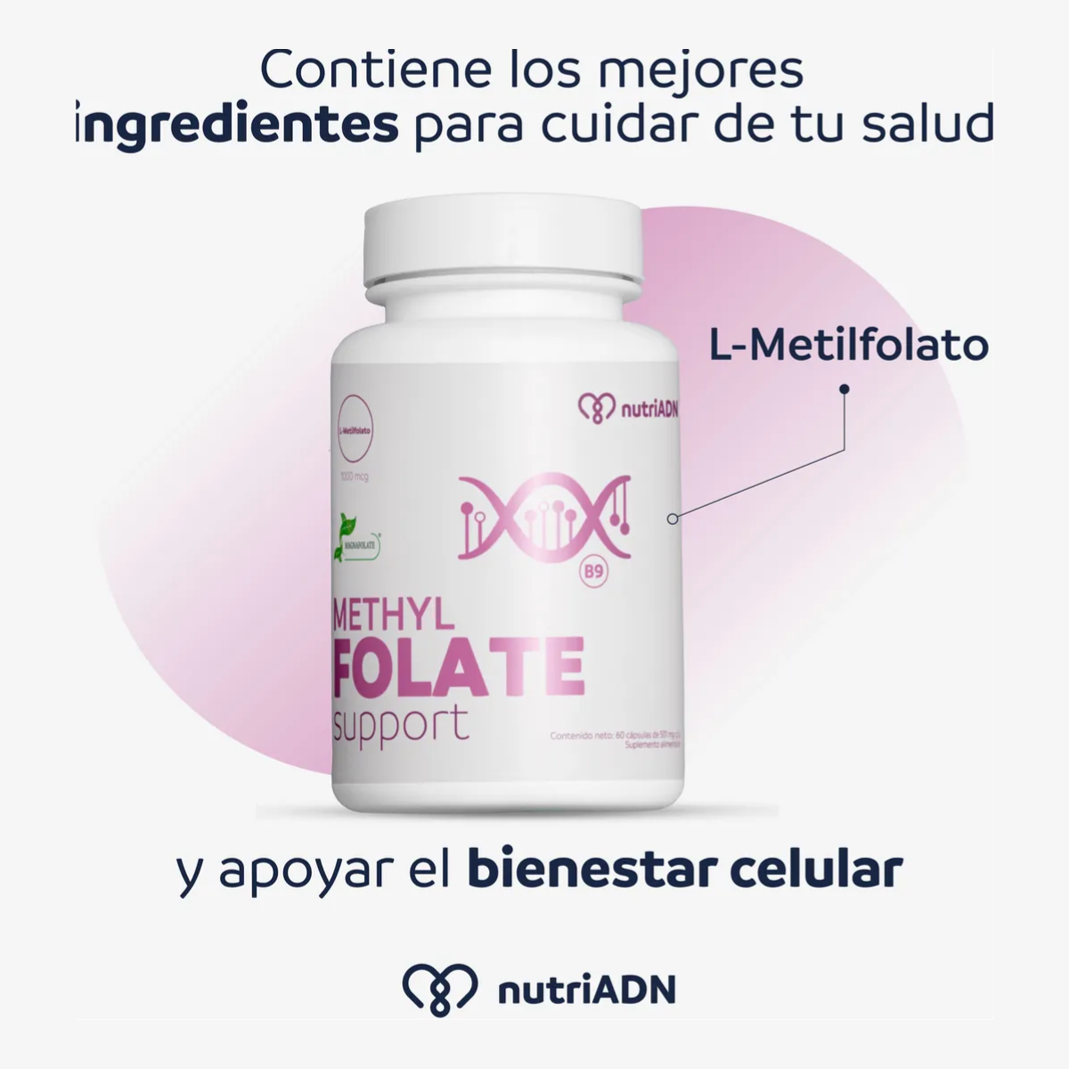 Methyl Folate Support – Suplemento de Metilfolato (60 caps), NutriADN