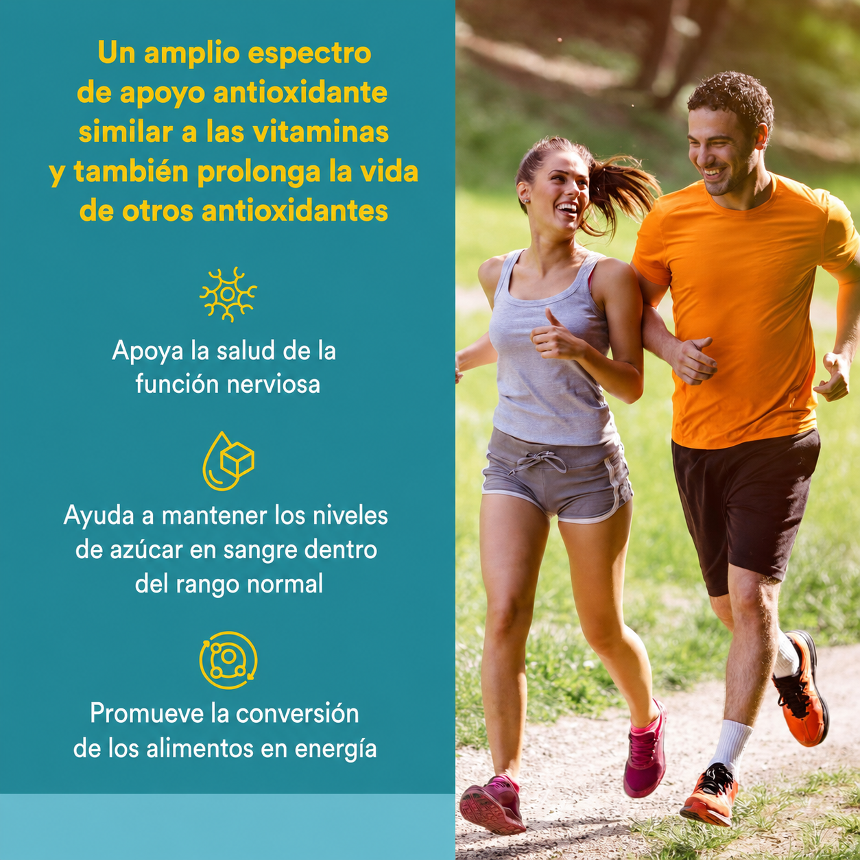 Ácido Alfa-Lipoico 100 mg 60 cap, Natural Factors
