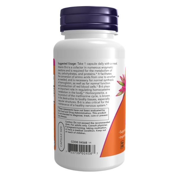 Vitamina B-6 100 mg250 Cápsulas