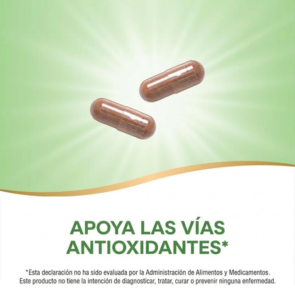 Resveratrol - Mezcla Premium - 60 Cápsulas Veganas