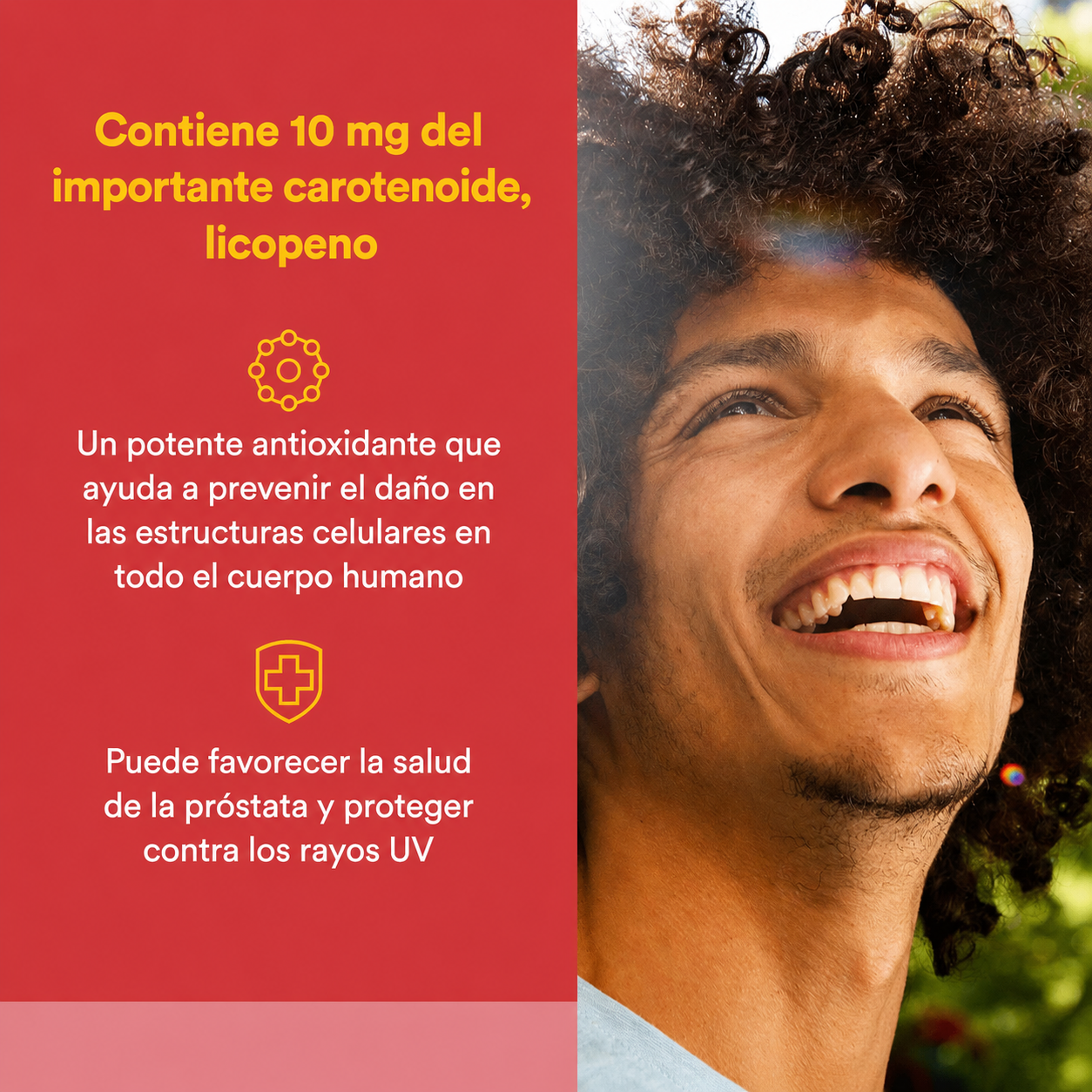 Licopeno 10 mg 60 sg, Natural Factors