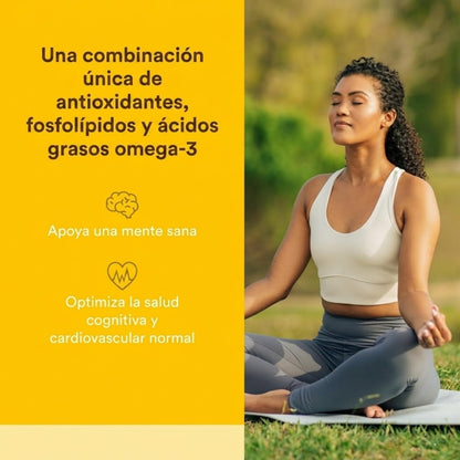 3 Brains® Higher Thoughts® 90 sg, Natural Factors