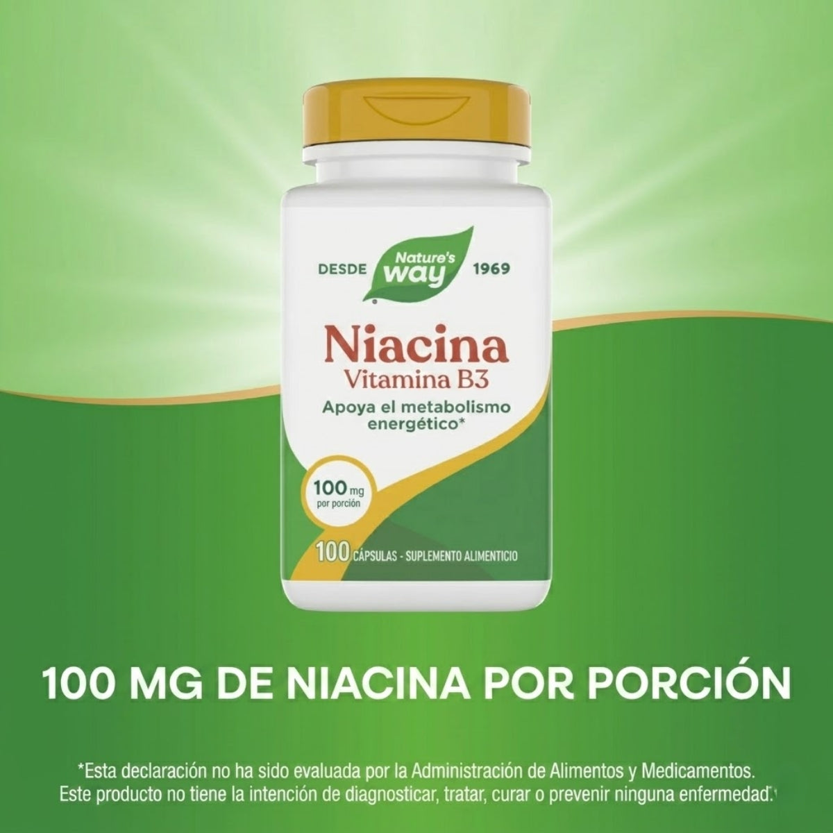 Niacina B3, 100 mg (100 caps), Nature's Way