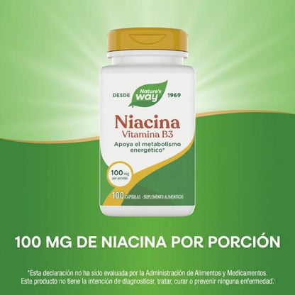 Niacina B3, 100 mg (100 caps), Nature's Way