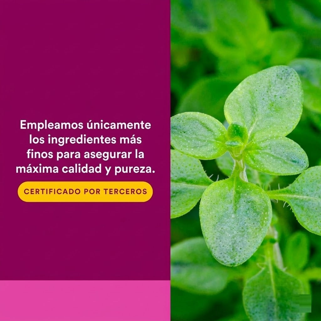 Aceite de Oregano 180 mg 30 sg, Natural Factors