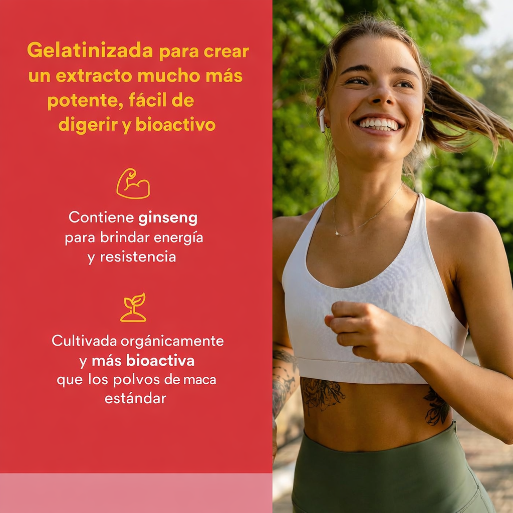MacaRich® Concentrado de Maca Súper Fuerte 500 mg Organic 90 vcap, Natural Factors