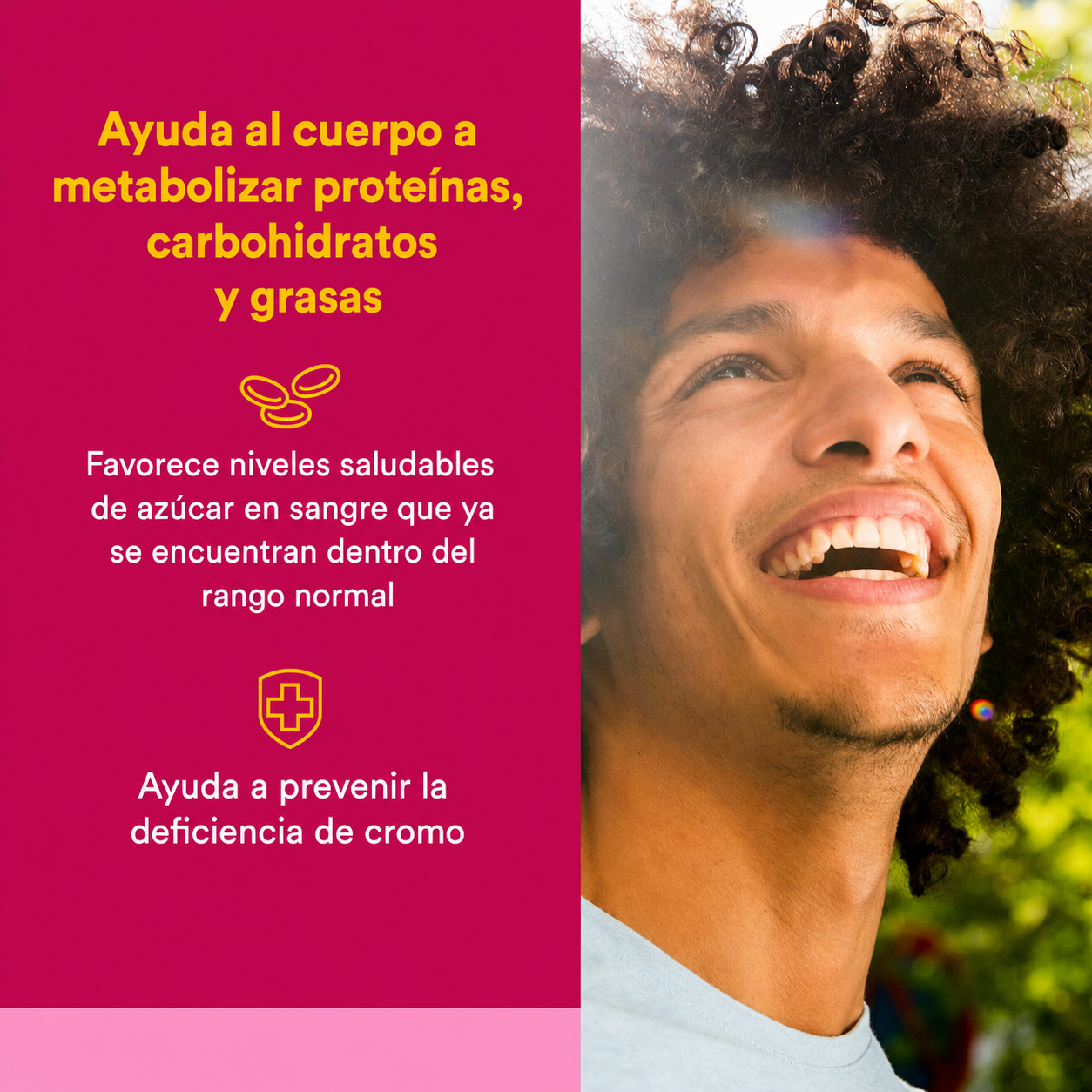 Picolinato de cromo 500 mcg 90 tab, Natural Factors