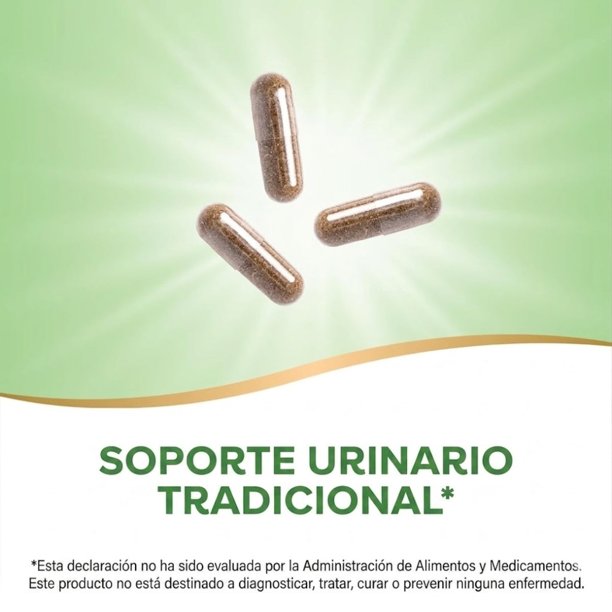 Uva Ursi - Hojas - 1,110mg - 100 Cápsulas Veganas