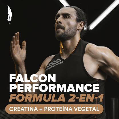 EX Falcon Performance Chocolate (1.9 Kg), Birdman