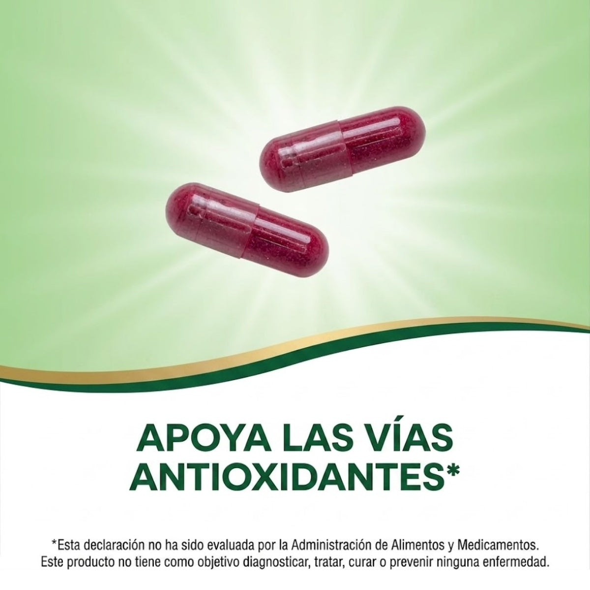 Betabel - Raíz - 1,000mg - 320 Cápsulas Veganas