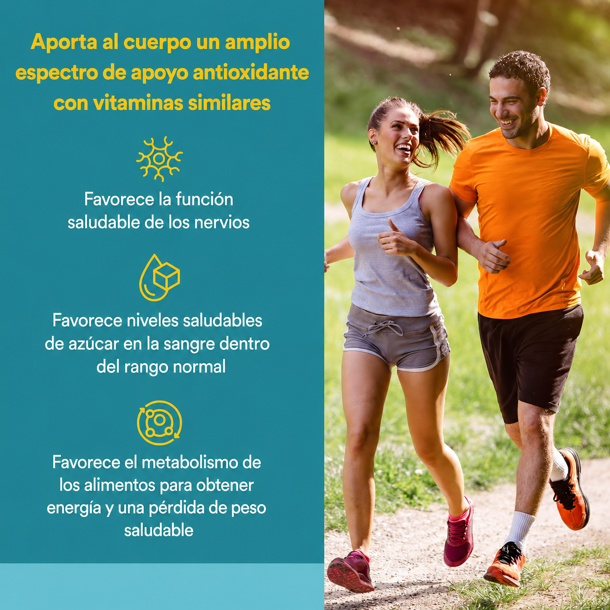 Ácido Alfa-Lipoico 600 mg con B1 & B2 60 vcap, Natural Factors