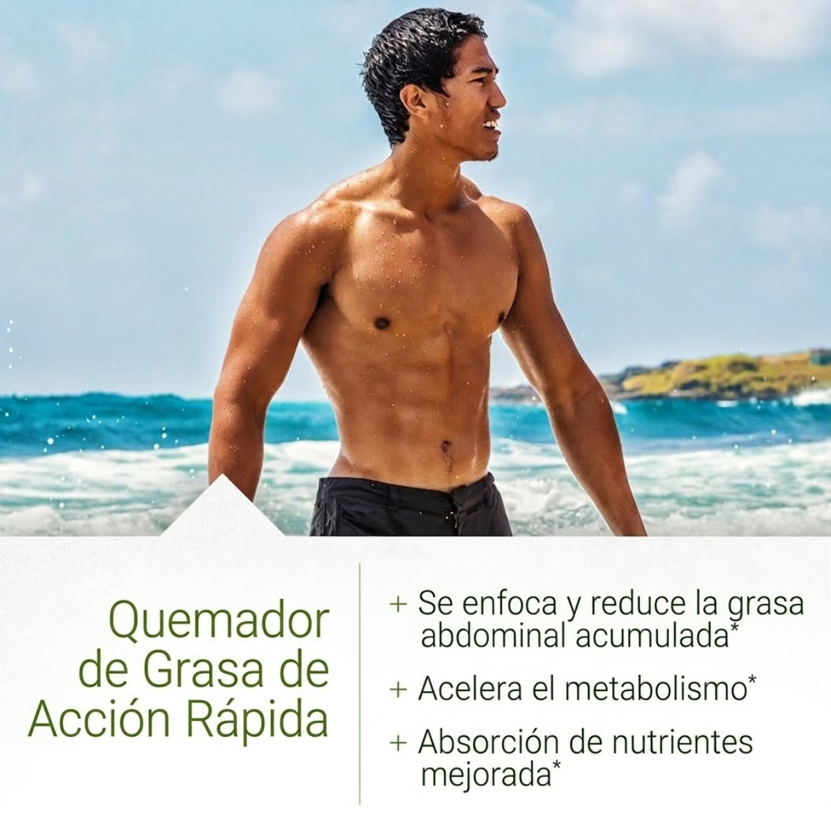 Quemador de Grasa Abdominal Almacenada (60 softgels),Irwin Naturals